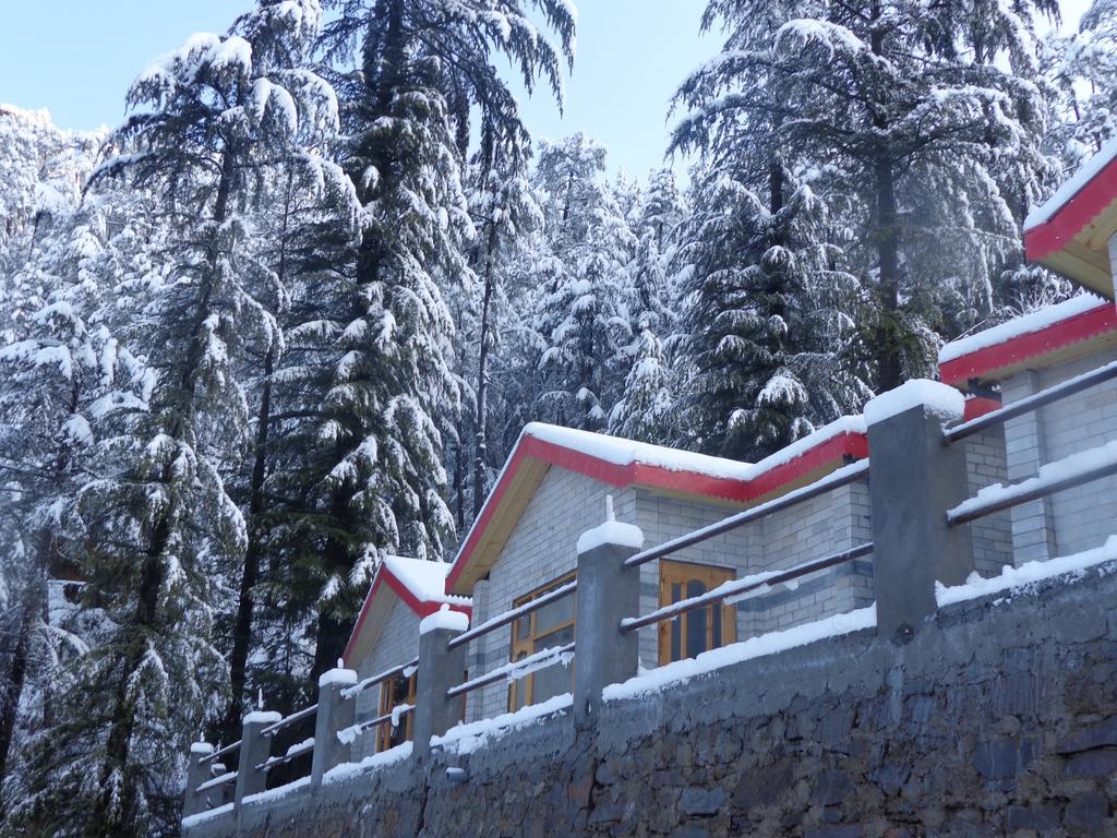 Village Live In Resort Chail Eksteriør bilde